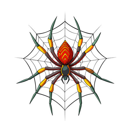 Colorful cartoon spider sits in its web, isolated on white backgroundのイラスト素材