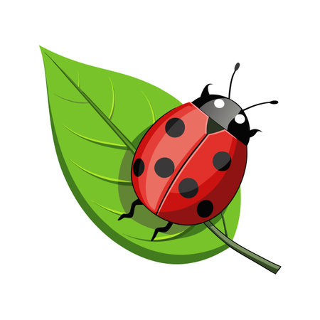 Illustration of a ladybug on a bright green leaf with a white backgroundのイラスト素材