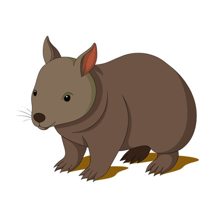 Cartoon illustration of an adorable wombat standing on a white backgroundのイラスト素材