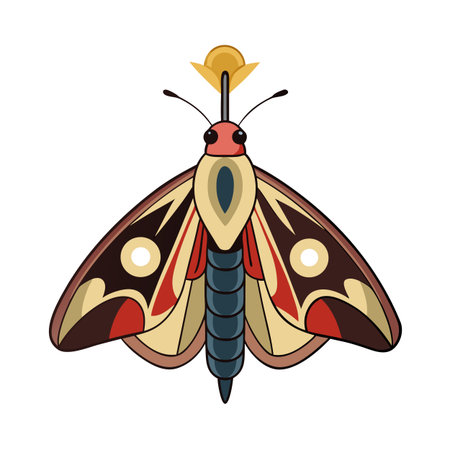 Stylized moth illustration with intricate wing patterns and a symmetrical compositionのイラスト素材