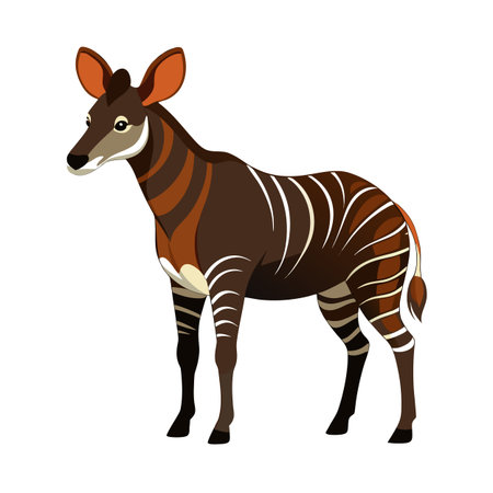Illustration of an okapi standing on a white background, cartoon styleのイラスト素材