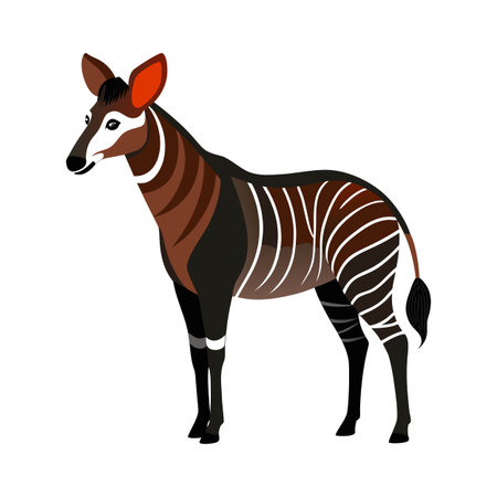 Vector illustration of okapi with white stripes on isolated white backgroundのイラスト素材