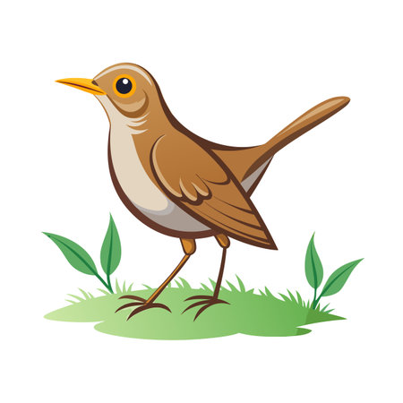 Cartoon Song Thrush Illustration on Grass Field in Flat Graphic Styleのイラスト素材