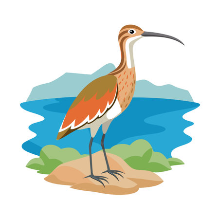 Cartoon Illustration of a Curlew Bird Standing on a Hill Near Waterのイラスト素材