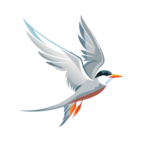 Stylized vector illustration of an arctic tern in flight with spread wingsのイラスト素材