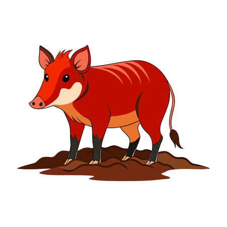 Cartoon Red River Hog Standing in Dirt, Isolated on White Backgroundのイラスト素材