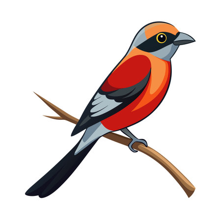 Illustration of a cute orange and red bird perched on a brown branchのイラスト素材