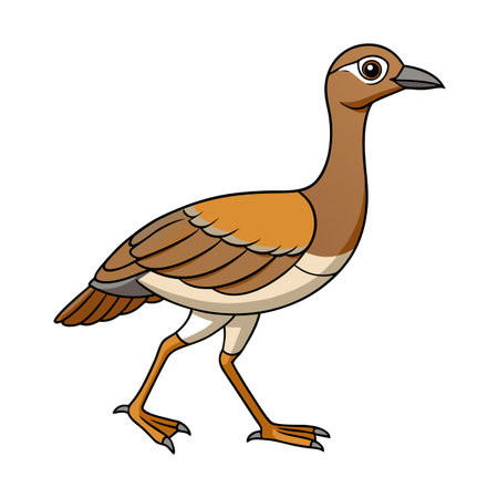 Cartoon-style Burhinus oedicnemus bird vector illustration with simple shapes and outlinesのイラスト素材
