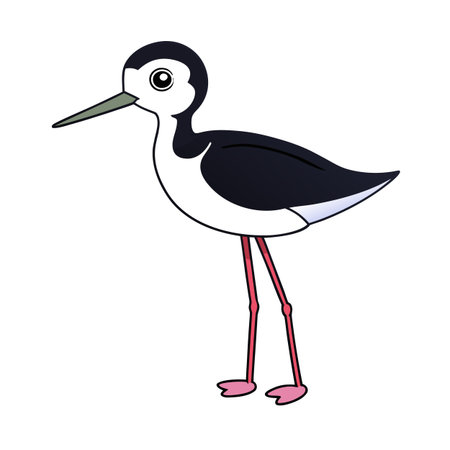 Cute cartoon black necked stilt illustration with clean lines and bright colorsのイラスト素材