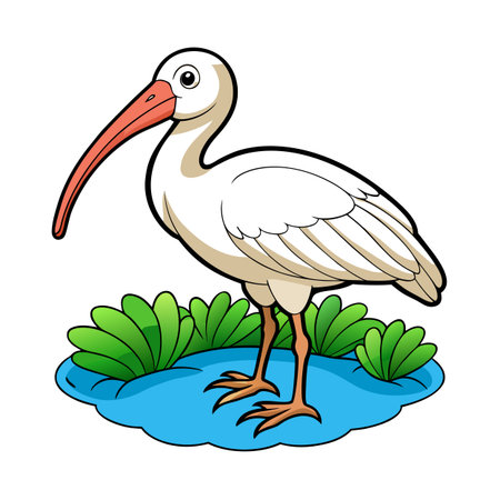 Cartoon Ibis Standing in Water with Greenery, Cartoon Styleのイラスト素材