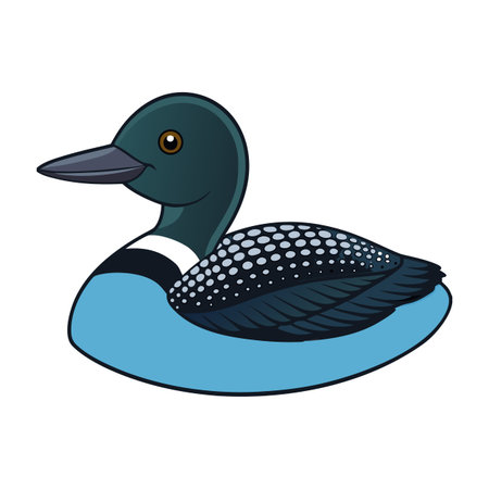 Illustration of a Common Loon Swimming, detailed and cartoonish style on white backgroundのイラスト素材