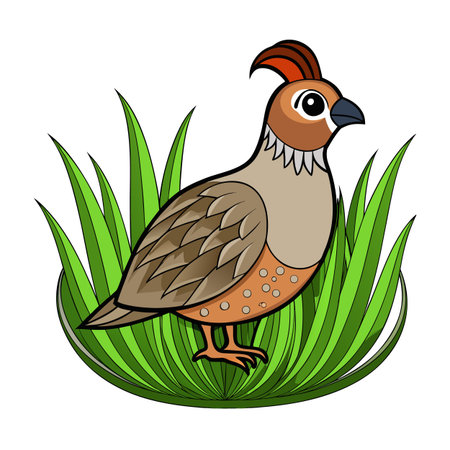 Stylized cartoon quail standing tall in lush green grass illustrationのイラスト素材