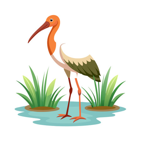 Cartoon orange ibis standing in marsh, surrounded by lush green plants and waterのイラスト素材