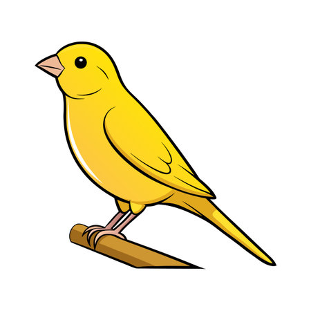 Bright yellow canary perched on a small branch, clean vector illustrationのイラスト素材
