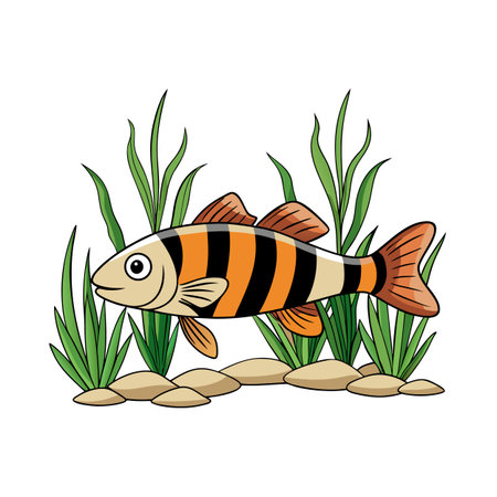 Cartoon Tiger Barb Fish Swimming Amongst Aquarium Plants and River Rocksのイラスト素材
