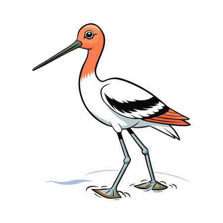 Cartoon American Avocet walking in water with long bill, orange and whiteのイラスト素材