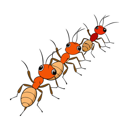 Cartoon ants in a line carrying something on a white backgroundのイラスト素材