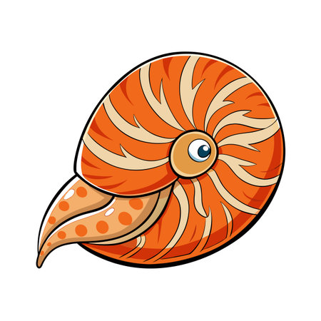 Isolated cartoon nautilus shell illustration with orange and beige sections on white backdropのイラスト素材