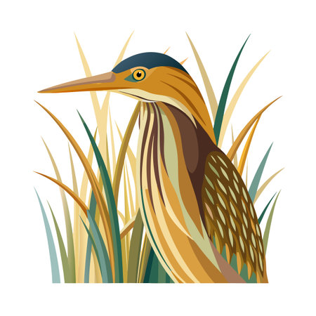 American Bittern bird illustration in a flat style against grasses