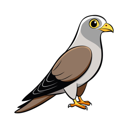 Cartoon illustration of a grey and brown hawk standing isolated on whiteのイラスト素材