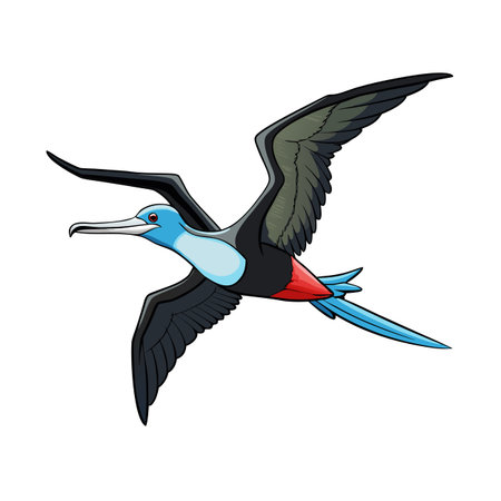 Illustration of a Magnificent Frigatebird in flight with stylized colors and detailsのイラスト素材