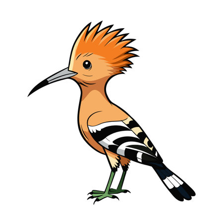 Cartoon Hoopoe Bird Illustration with Striking Crest and Bold Outlinesのイラスト素材