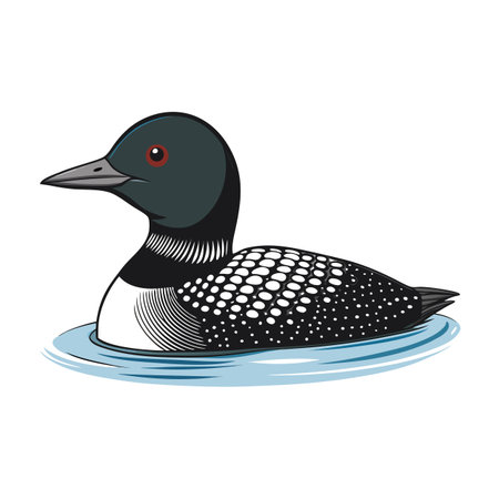 Illustration of a common loon swimming in calm blue water, isolated on whiteのイラスト素材
