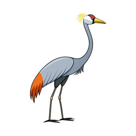 Cartoon Grey Crowned Crane Illustration Standing Tall on White Background for Printのイラスト素材