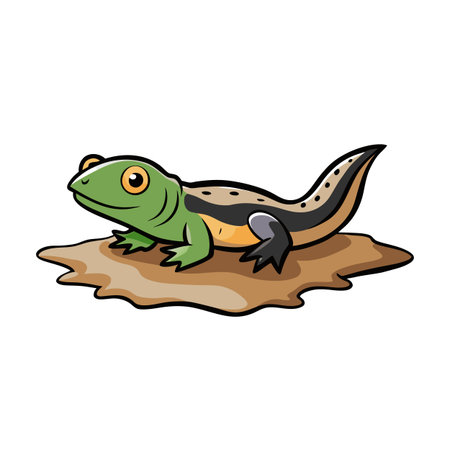 Cartoon newt standing on a brown surface, isolated against a white backgroundのイラスト素材