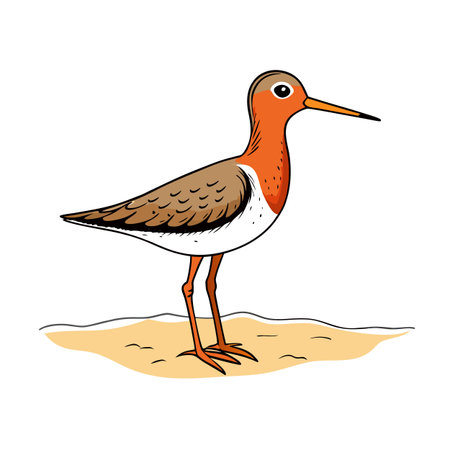 Cute cartoon ruddy turnstone bird standing on sand, bright colors and graphic designのイラスト素材