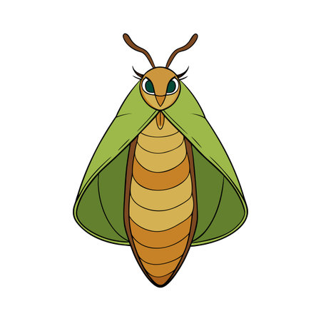 Illustration of a stylized moth with green wings and brown body on whiteのイラスト素材
