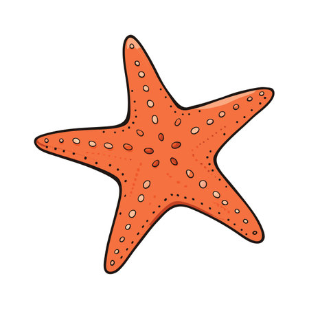 Cartoon sea star illustration with orange and cream color for kidsのイラスト素材