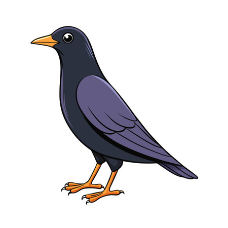 Cartoon illustration of a black bird with orange beak and legs standingのイラスト素材