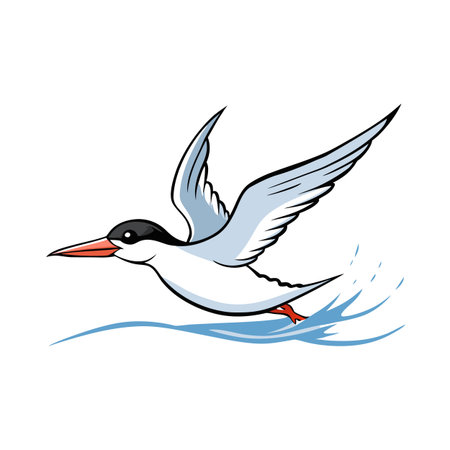 Cartoon Arctic Tern Flying Above Water in a Clean Vector Illustrationのイラスト素材
