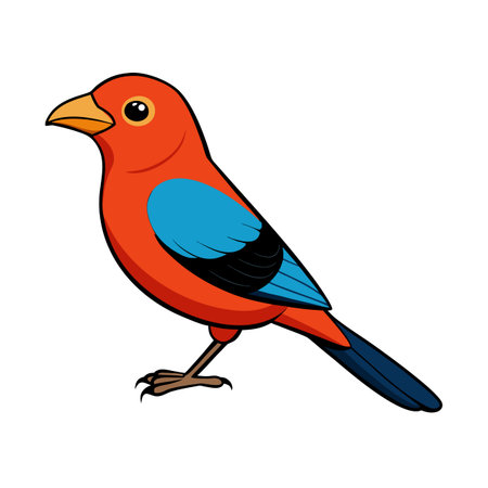 Cartoon illustration of a scarlet tanager bird standing against a white background.のイラスト素材