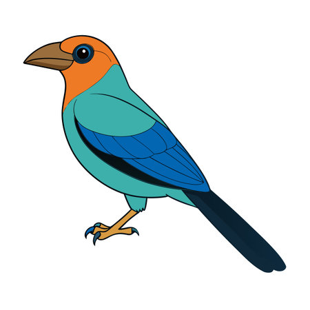 Illustration of a colorful bird with a distinctive plumage against a white backgroundのイラスト素材