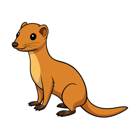 Cartoon Stoat Illustration Isolated on White Background in Vector Formatのイラスト素材