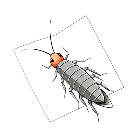 Cartoon Earwig Insect on White Background, Detailed Illustration for Education or Designのイラスト素材