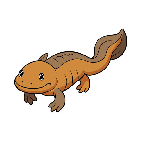 Cartoon axolotl illustration on white background depicting an aquatic salamander speciesのイラスト素材