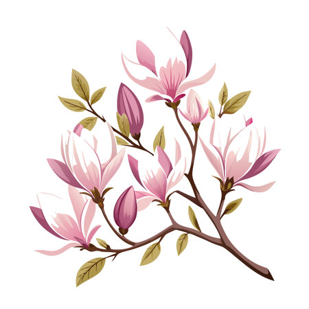 Elegant Magnolia Branch: Pink and White Flower Illustrationのイラスト素材