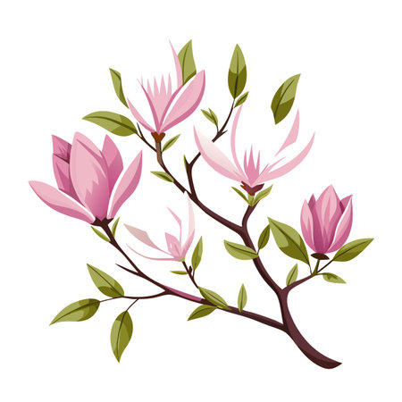 Elegant Pink Magnolia Flowers and Leaves Illustration Artのイラスト素材