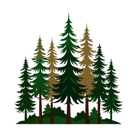 Stylized pine tree forest illustration on a white backgroundのイラスト素材