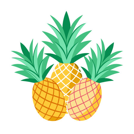 Three pineapples vector design. Tropical fruit illustration artのイラスト素材