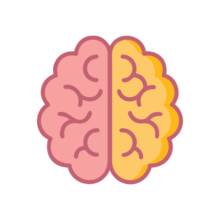 Stylized Brain Illustration Symbolizing Left and Right Brain Hemispheres, Thinking and Creativityのイラスト素材