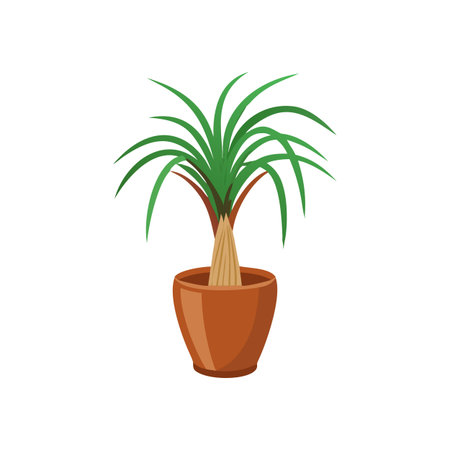 Stylized ponytail palm in a terracotta pot against a solid black backgroundのイラスト素材