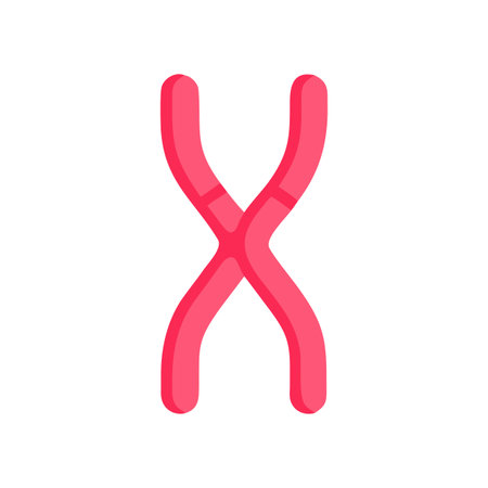 Pink X Chromosome illustration isolated on black background for scientific or educational purposes.のイラスト素材