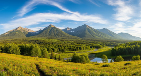 Mountains and meadow in the summer, Siberia, Russia.の写真素材