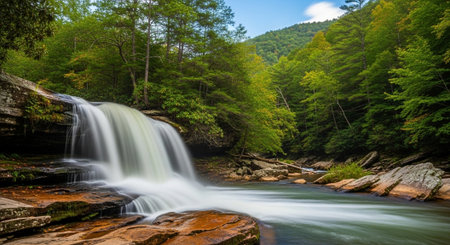 Waterfall in the forest of the Black Forest, North Carolina.の写真素材