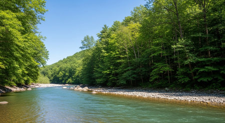 River in the forest. Beautiful summer landscape with river and trees.