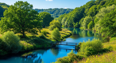 Beautiful summer landscape with river and bridge, Czech Republic, Europe